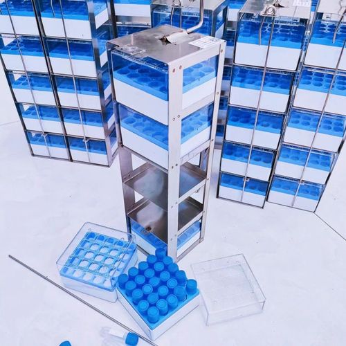 凍存盒提籃 凍存盒提籃